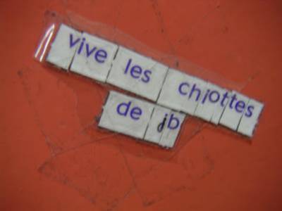 chiotes de jb